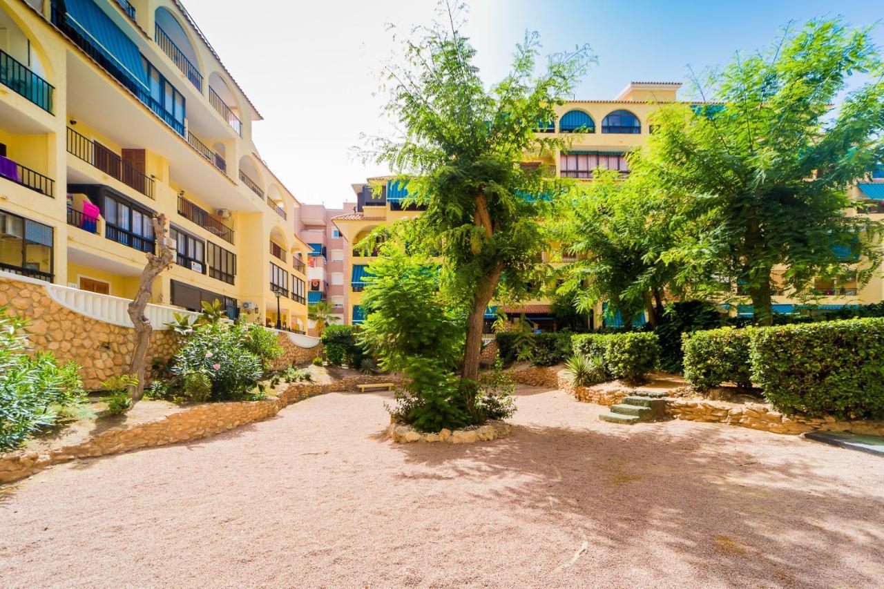 Apartamento Alegria Id36 La Mata  Exterior photo